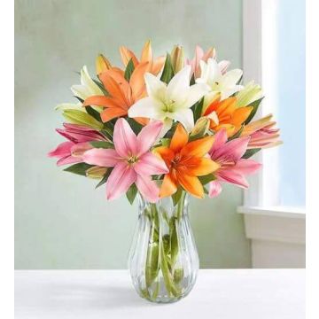 10 Rainbow Magic Lilies Bouquet