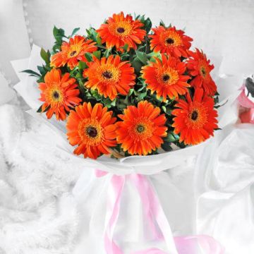 Beautiful 10 Orange Gerberas Bouquet