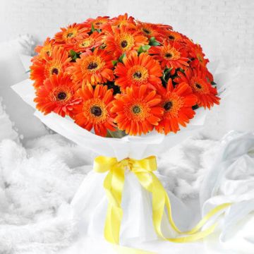 Elegant 20 Orange Gerberas Bouquet