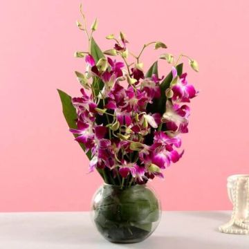 Gorgeous 6 Purple Orchids Bunch