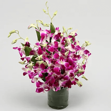 Romantic 10 Purple Orchids Bunch