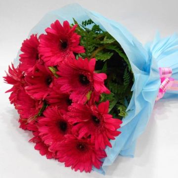 Serene Beauty a Bunch of 10 Pink Gerberas