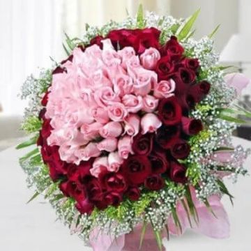 Fantasy of Roses 100 Red and Pink Roses Bouquet