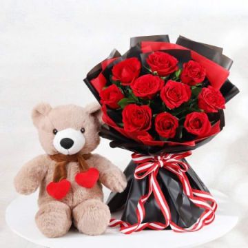 Splendid Teddy n 10 Roses Combo