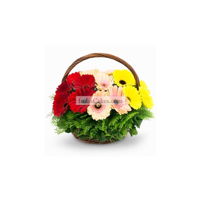 12 Gerberas Basket