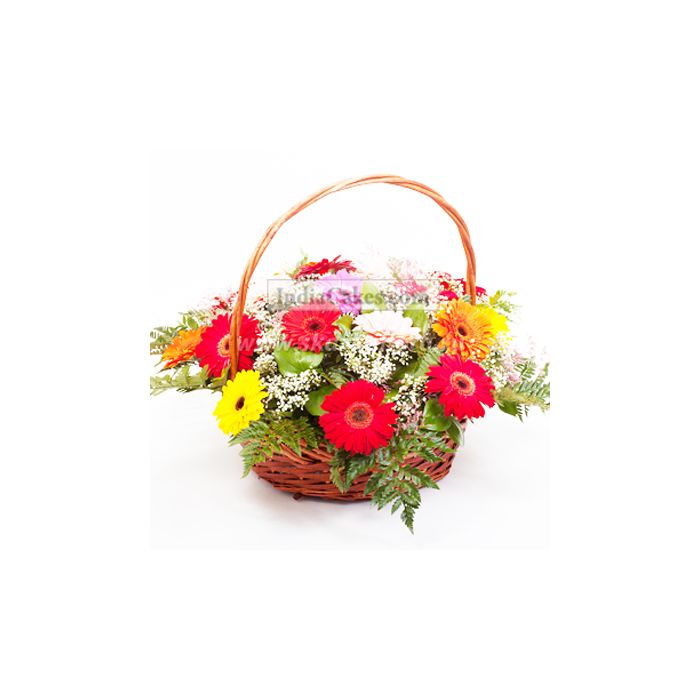 60 Gerberas Basket