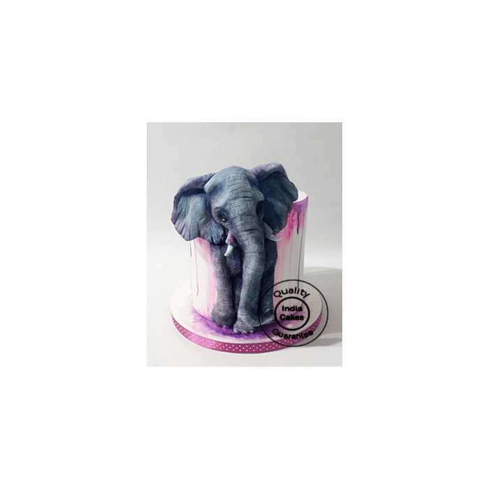 Elephant Cake_2